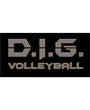 D.I.G. Volleyball Academy