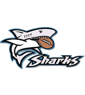 seatac sharks junior football and cheer