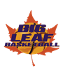 Big Leaf Basketball
