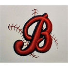 Brookline Little League Association