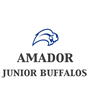 Amador Jr Buffalos
