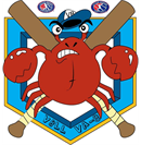 Virginia Beach Little League Baseball