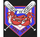 Virginia Beach Little League Baseball