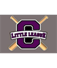 Chesapeake Little League (OH)