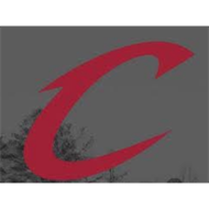 Crockett County Tennessee Cal Ripken Baseball League