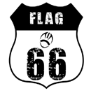 NFL FLAG 66
