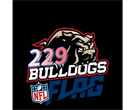 Titletown NFL Flag