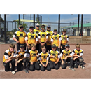Cameron Ball Association