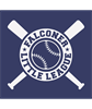 Falconer Little League