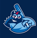 South Country Bellport Little League Inc