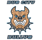 Bus City Bullys