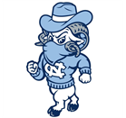Chapel Hill Ravens