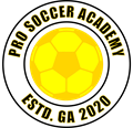Pro Soccer Academy