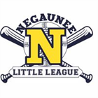 Negaunee Little League