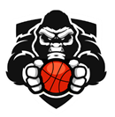 The Silverbacks Youth Basketball LLC