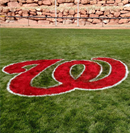 Washington Utah Little League