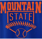 Mt. State Little League