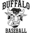 Buffalo Youth Baseball