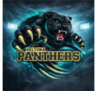 Deltona Panthers Youth Tackle Football & Cheerleading Association INC