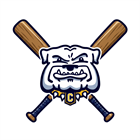 Chelsea Little League