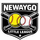 Newaygo Little League