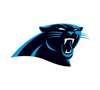 North Bay Panthers Youth Sport Organization