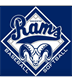 Rochester Area Baseball
