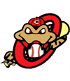 Lake Norman Copperheads