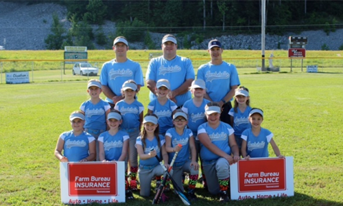 SC Little League 2015 Season