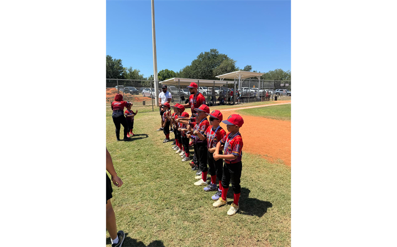 8U Spring Champions: Braves