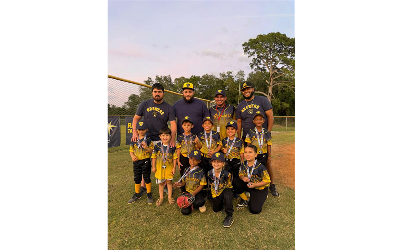 6U Brewers - Spring 2026
