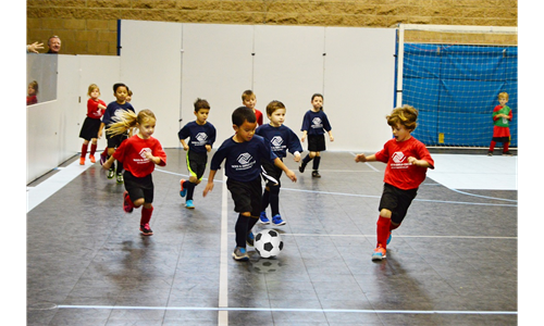 FALL 2022 ARENA SOCCER