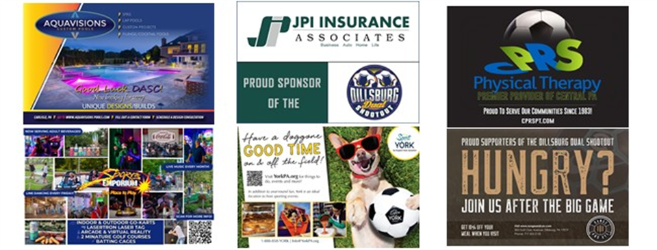 DDSO Sponsors
