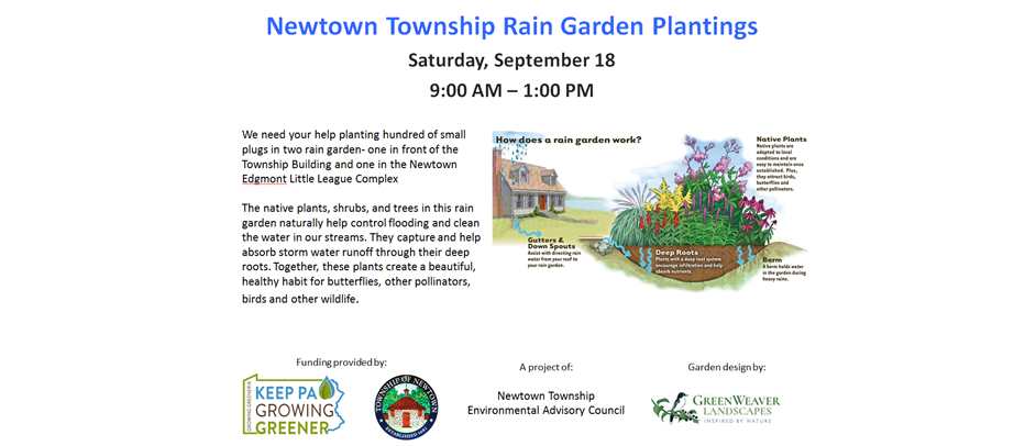 Newtown Township Rain Garden Plantings