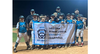 Minors 10U All-Stars Win AZ District 2 Tournament