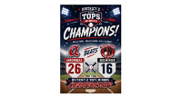 AHLL TOPS Minors are District 2 Champions!