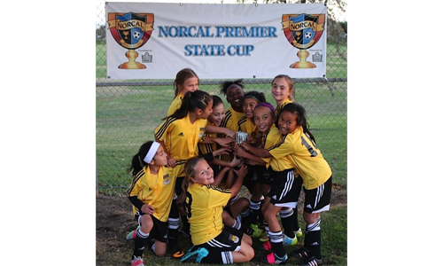 State Cup Success