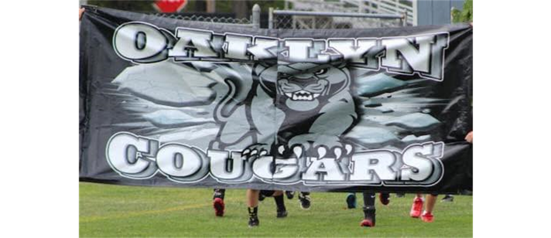Cougars Game Banner