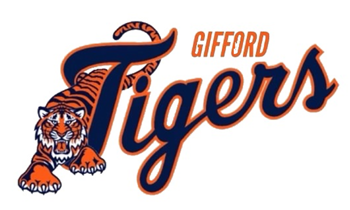 Welcome To The 2024 Gifford Youth Little League  Website  !