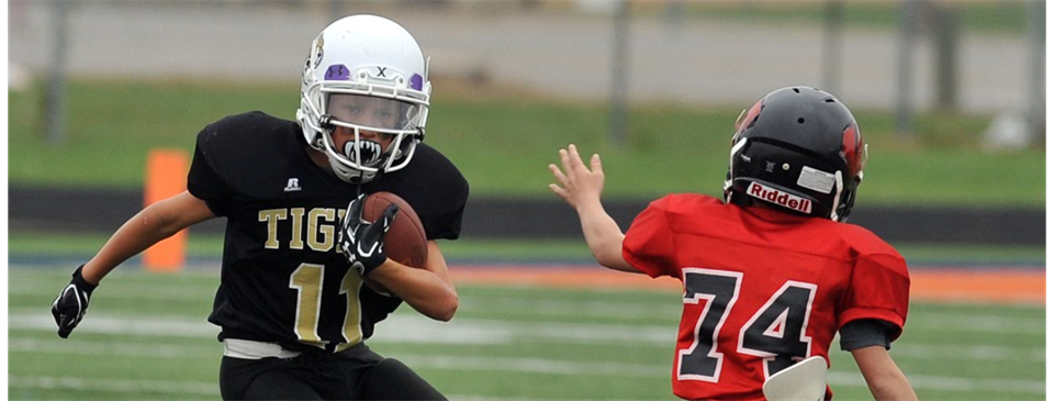 Great Plains Youth Football League (click picture for link)