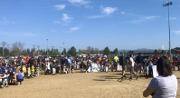 Tri-County Little League Announces Opening Day! April Saturday 25th