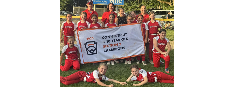 10U Softball All-Stars: Section 2 Champs!