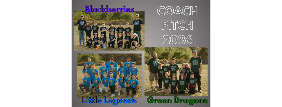 COACH PITCH 2026