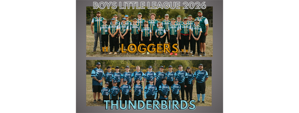BOYS LITTLE LEAGUE 2026