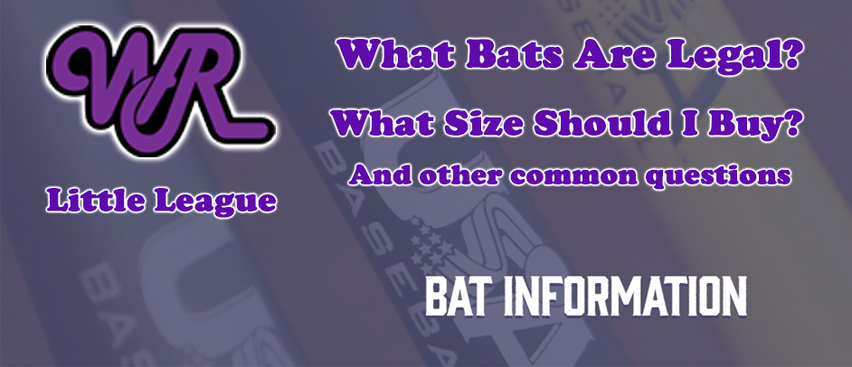 Click Here for Bat Information