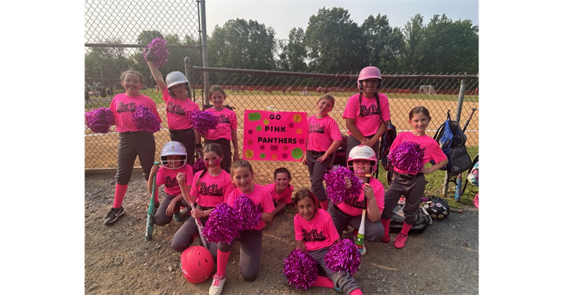 DVAA PINK Made the Playoffs