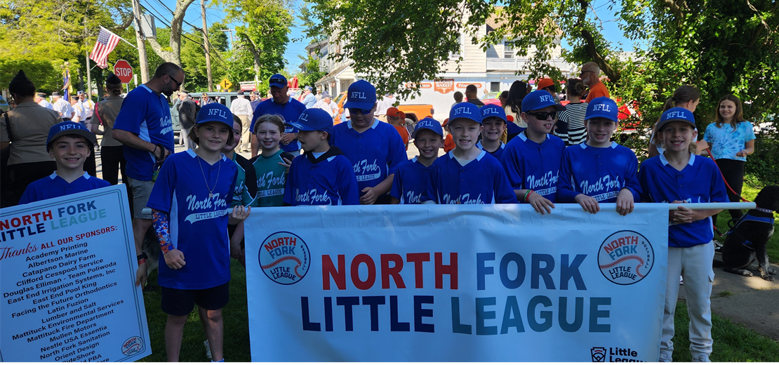 Never let the fear of striking out keep you from playing the game. -Babe Ruth