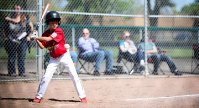 Common Little League Rule Misconceptions: What Parents Need to Know