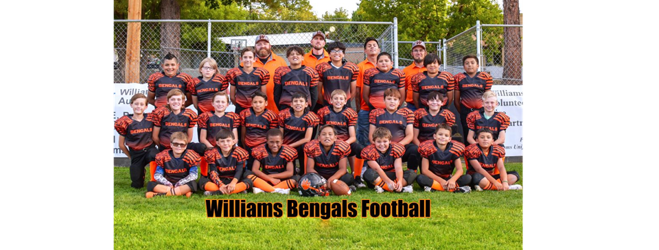 2023 Bengals