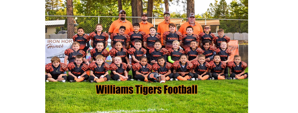 2023 Tigers